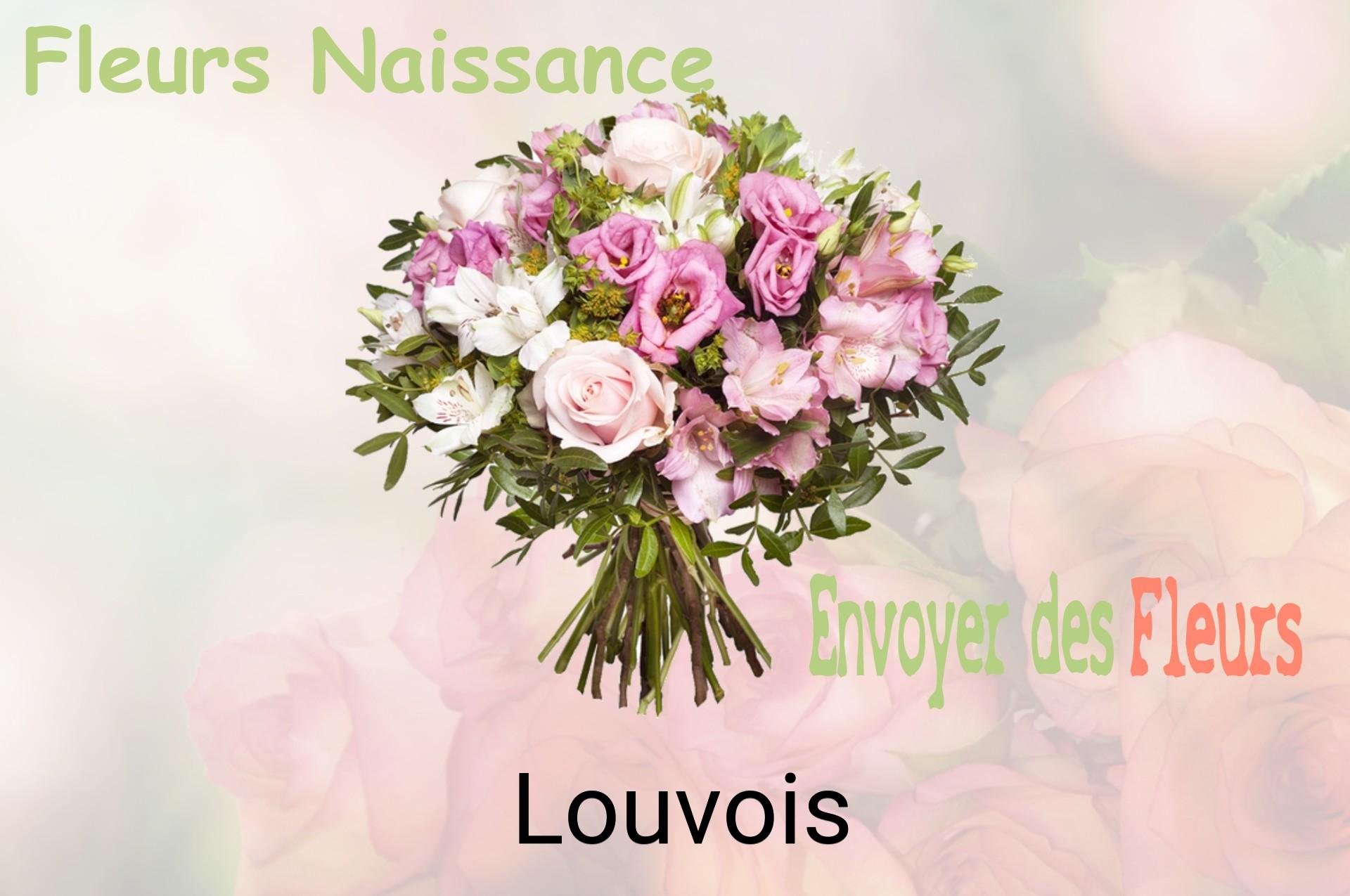 Bouquet de fleurs de naissance livré à Louvois