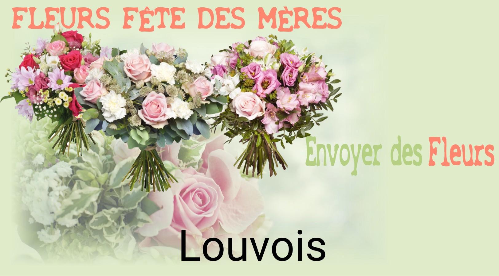 Bouquet de Fête des Mères livré à Louvois